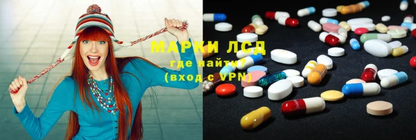 прущие грибы Бугульма
