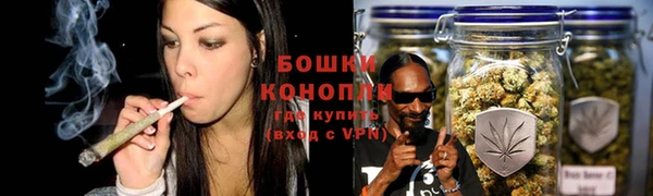 прущие грибы Богородицк