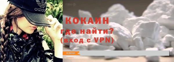 прущие грибы Богородицк