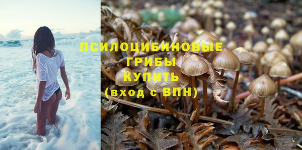 a pvp Богородск