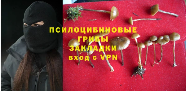 a pvp Богородск