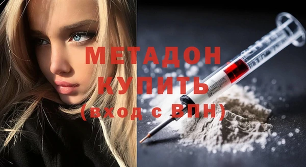 прущие грибы Богородицк