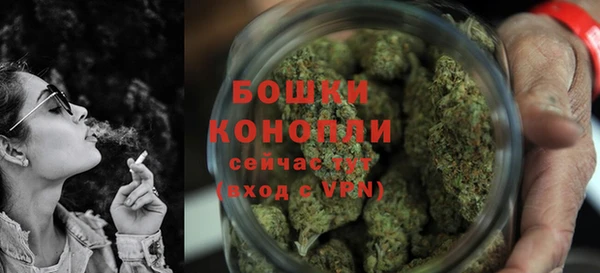 прущие грибы Богородицк