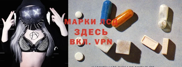 прущие грибы Богородицк