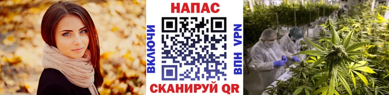 Купить где  Райчихинск  Бошки марихуана VHQ 